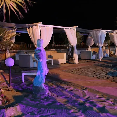 Conchiglia Margherita Di Savoia